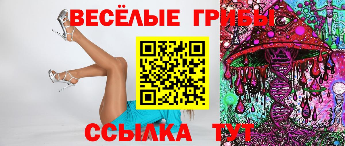Троицк  Псилоцибиновые грибы ЛСД  Псилоцибиновые грибы GOLDEN TEACHER  Вход с VPN 